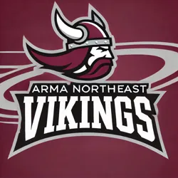Arma Northeast Vikings logo